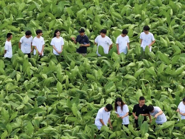 1773363151182026.jpg 1773363151182026.jpg