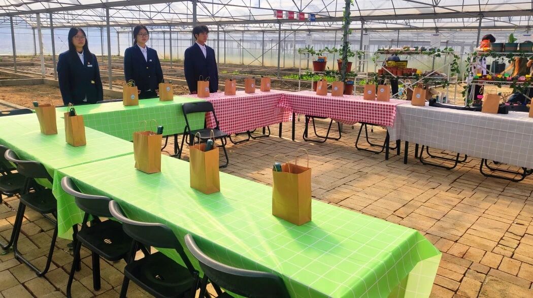 1774577593161328.jpg 1774577593161328.jpg